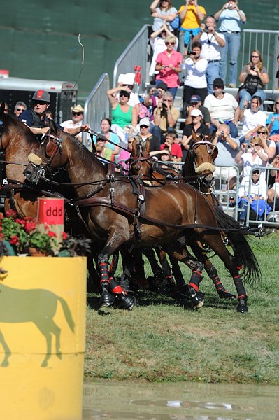 WEG4-10-9-10-DR-Marathon-0373-ChesterWeber-DDeRosaPhoto.jpg