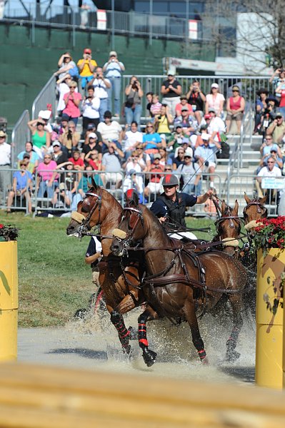 WEG4-10-9-10-DR-Marathon-0420-ChesterWeber-DDeRosaPhoto.jpg