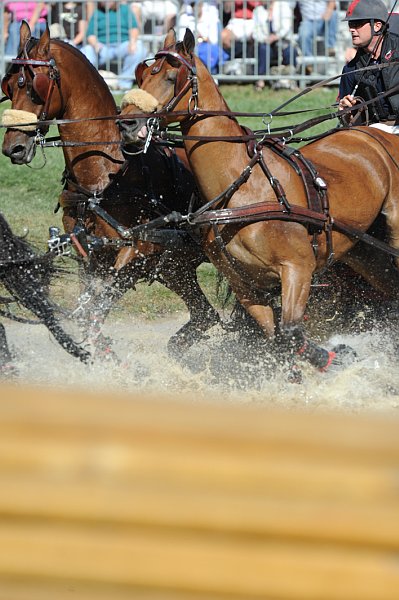 WEG4-10-9-10-DR-Marathon-0424-ChesterWeber-DDeRosaPhoto.jpg