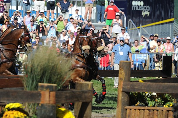 WEG4-10-9-10-DR-Marathon-0439-ChesterWeber-DDeRosaPhoto.jpg