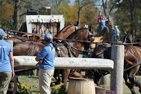 WEG4-10-9-10-DR-Marathon-0668-ChesterWeber-DDeRosaPhoto.jpg