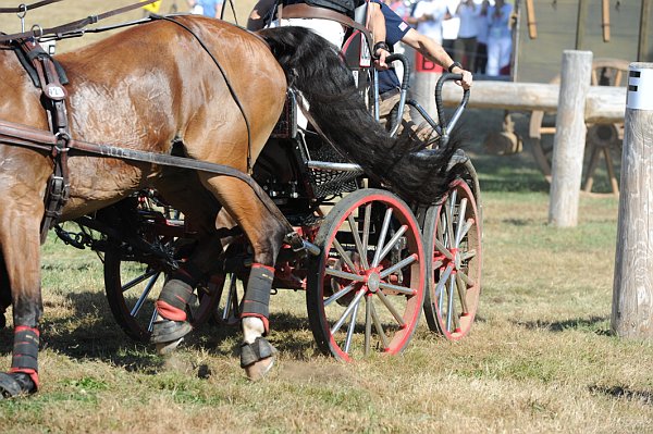 WEG4-10-9-10-DR-Marathon-0692-ChesterWeber-DDeRosaPhoto.jpg
