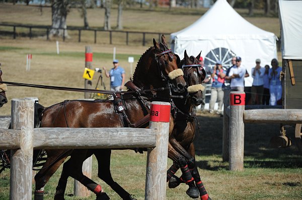 WEG4-10-9-10-DR-Marathon-0702-ChesterWeber-DDeRosaPhoto.jpg