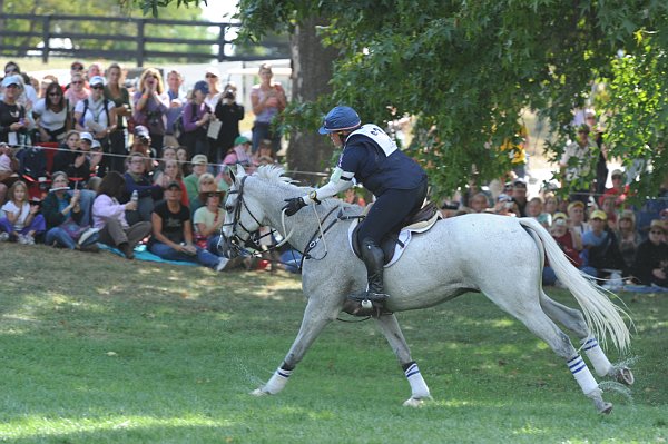 WEG2-10-2-10-EV-XX-5419-CourageousComet-RebeccaHolderosaPhoto.jpg
