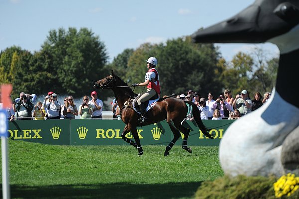 WEG2-10-2-10-EV-XX-4485-RiddleMaster-RebeccaHoward-DDeRosaPhoto.jpg