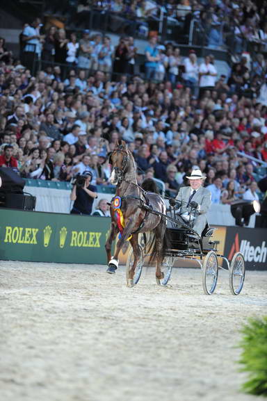 WEG1-9-25-10-DSC_2432-DDeRosaPhoto.JPG