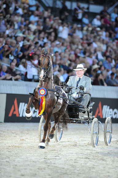 WEG1-9-25-10-DSC_2436-DDeRosaPhoto.JPG