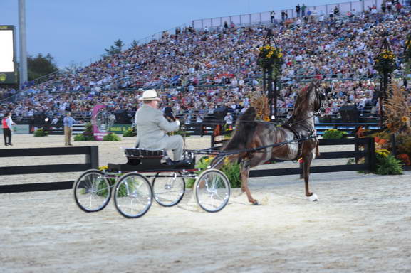 WEG1-9-25-10-Opening-WEG_1509-DDeRosaPhoto.JPG