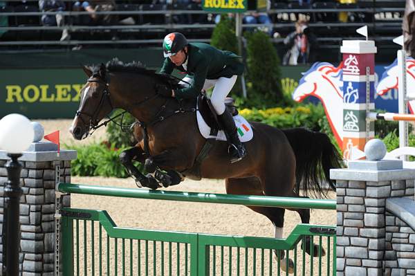 WEG2-10-4-10-SJ-8357-DermottLennon-HallmarkElite-DDeRosaPhoto.JPG