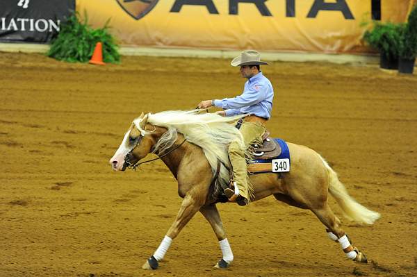 WEG1-9-25-10-RNG-WEG_1032-DDeRosaPhoto.JPG