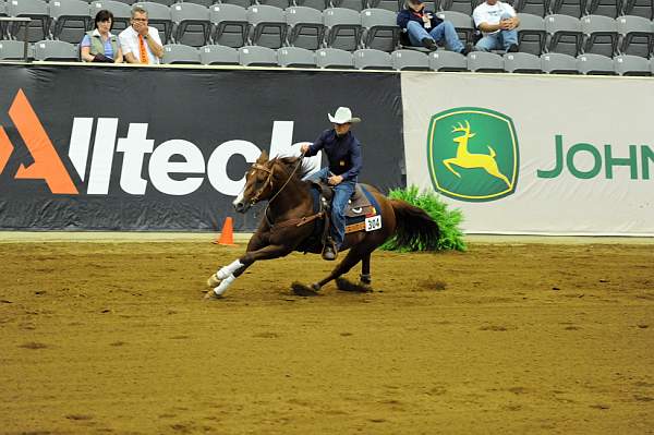 WEG1-9-25-10-RNG-WEG_1215-DDeRosaPhoto.JPG