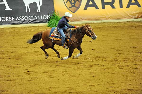 WEG1-9-25-10-RNG-WEG_1222-DDeRosaPhoto.JPG