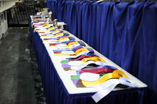 WIHS2-10-28-10-2356-DDeRosaPhoto.JPG