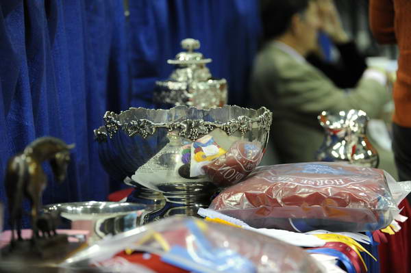 WIHS3-10-31-10-9228-DDeRosaPhoto.JPG