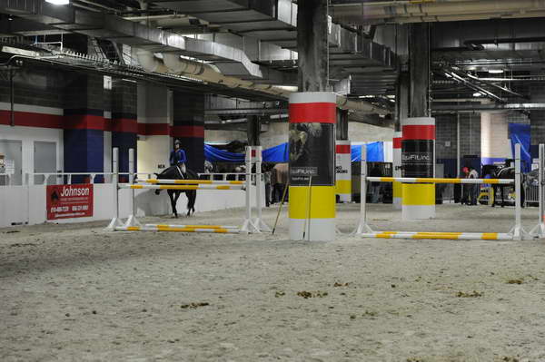 WIHS2-2010-WEG_0662-DDeRosaPhoto.JPG