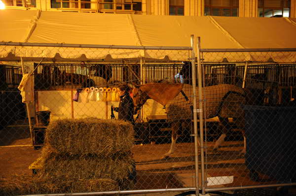 WIHS2-10-29-10-5108-DDeRosaPhoto.JPG