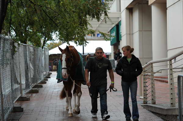 WIHS2-2010-WEG_0634-DDeRosaPhoto.JPG