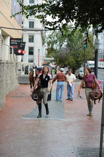 WIHS2-2010-WEG_0637-DDeRosaPhoto.JPG