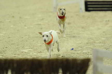 WIHS2-10-28-10-4621-DDeRosaPhoto.JPG