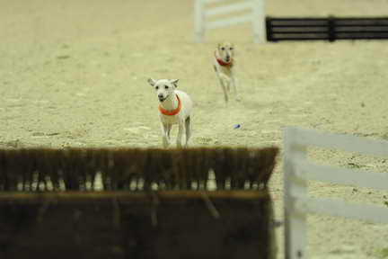 WIHS2-10-28-10-4622-DDeRosaPhoto.JPG