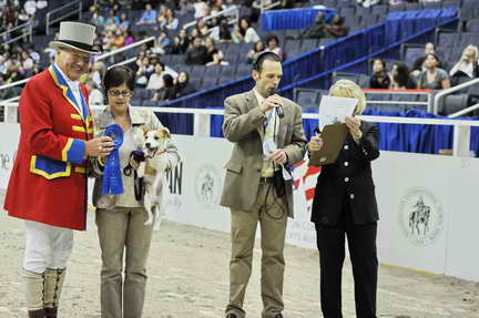 WIHS2-10-28-10-4637-DDeRosaPhoto.JPG