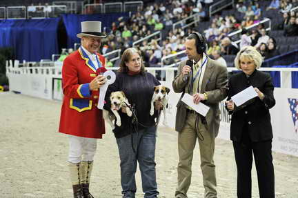 WIHS2-10-28-10-4645-DDeRosaPhoto.JPG