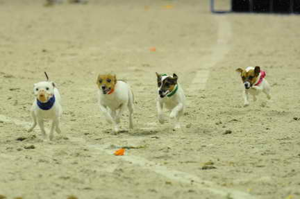 WIHS2-10-30-10-8595-DDeRosaPhoto.JPG