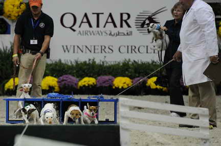 WIHS2-10-30-10-8606-DDeRosaPhoto.JPG