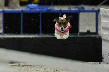 WIHS2-10-30-10-8610-DDeRosaPhoto.JPG
