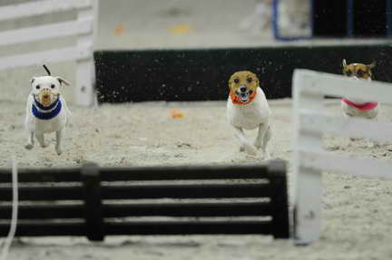 WIHS2-10-30-10-8611-DDeRosaPhoto.JPG