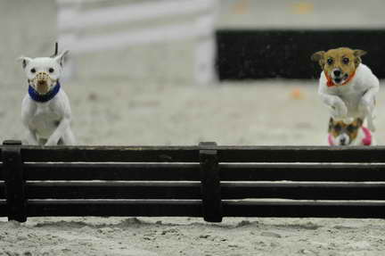 WIHS2-10-30-10-8612-DDeRosaPhoto.JPG