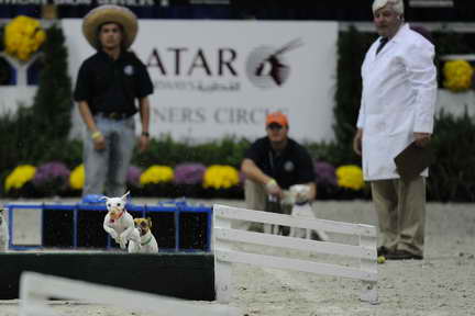WIHS2-10-30-10-8623-DDeRosaPhoto.JPG