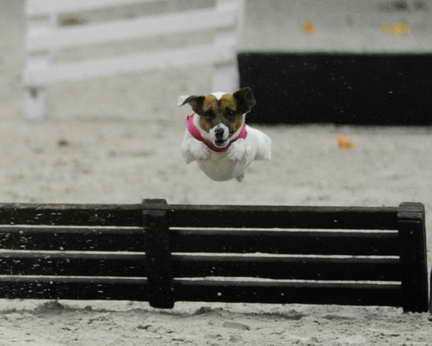 WIHS2-10-30-10-8639-DDeRosaPhoto.JPG
