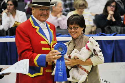 WIHS2-10-30-10-8646-DDeRosaPhoto.JPG