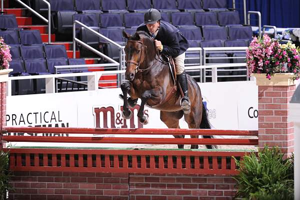 WIHS2-10-27-10-Cl24-1stYrGrHtrStke-0266-VictoryRoad-ArchieCox-DDeRosaPhoto.jpg