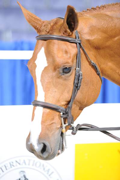 WIHS2-10-27-10-Cl34-2ndYrHtrStke-DSC_7804-JustDessert-MaryLisaLeffler-DDeRosaPhoto.jpg