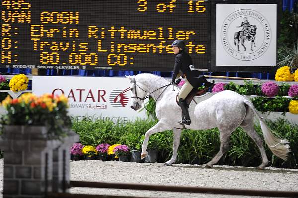 WIHS2-10-27-10-GrConfHtrStke-Cl5-0016-VanGogh-EhrinRittmueller-DDeRosaPhoto.jpg