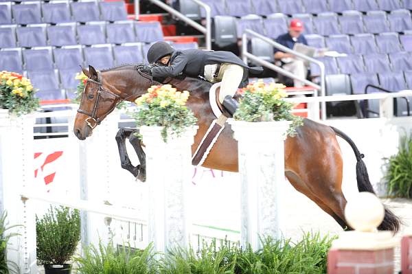WIHS2-10-27-10-GrConfHtrStke-Cl5-0046-Surely-PegSeals-DDeRosaPhoto.jpg