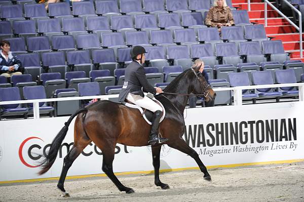 WIHS2-10-27-10-GrConfHtrStke-Cl5-0100-PurpleHeart-TomBrennan-DDeRosaPhoto.jpg