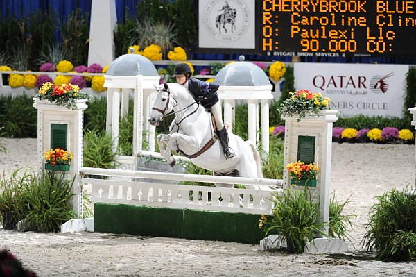 WIHS3-10-31-10-Cl123-LgPnyHtr-9843-CherrybrookBlueSuedeShoes-CarolineCline-DDeRosaPhoto.jpg