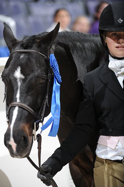 WIHS4-10-31-10-Cl124-LgPnyHtr-0121-FranklinsTower-RachelTavelman-DDeRosaPhoto.jpg