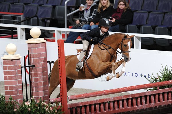 WIHS3-10-31-10-Cl113-MedPnyHtr-9421-Blondie-ParkerWright-DDeRosaPhoto.jpg