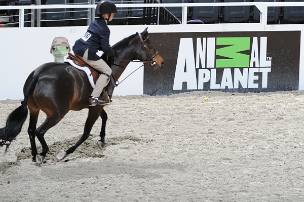 WIHS3-10-31-10-Cl113-MedPnyHtr-9473-HighlandsHeavenSent-ParkerWright-DDeRosaPhoto.jpg