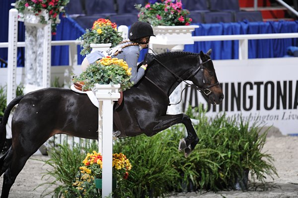 WIHS3-10-31-10-Cl113-MedPnyHtr-9502-Tuscany-SophieMichaels-DDeRosaPhoto.jpg