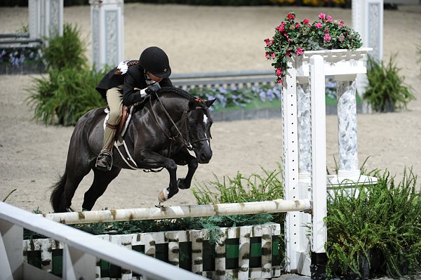WIHS3-10-31-10-9311-JustTheFax-AmandaRoche-DDeRosaPhoto.jpg