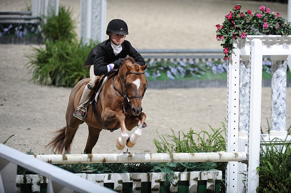 WIHS3-10-31-10-9344-EverydayEnzo-LiliHymowitz-DDeRosaPhoto.jpg