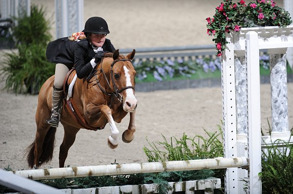 WIHS3-10-31-10-9356-FlyerMiles-AshleyHartman-DDeRosaPhoto.jpg
