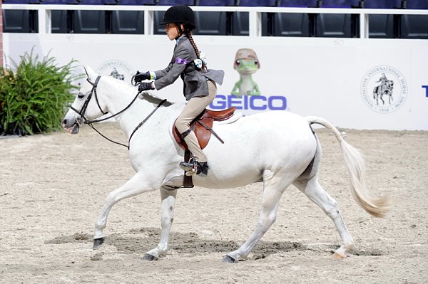 WIHS3-10-31-10-Cl103-SmPnyHtr-9180-HillcrestBlueGemStone-YasminRizvi-DDeRosaPhoto.jpg