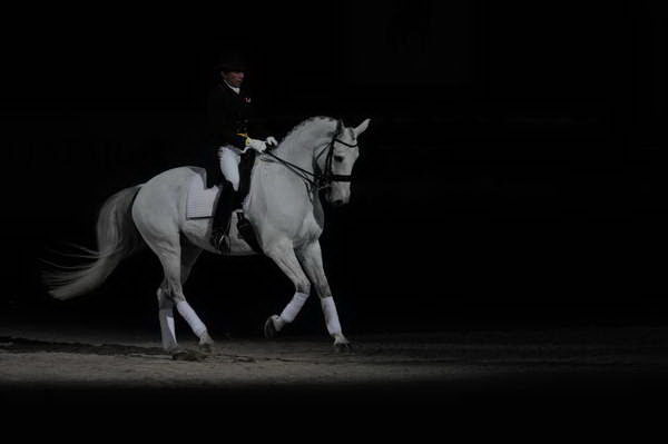 WIHS2-10-29-10-6471-PamGoodrich-Lamborghini-DDeRosaPhoto.JPG