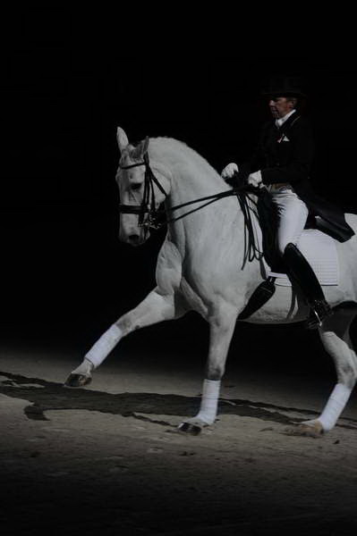 WIHS2-10-29-10-6475-PamGoodrich-Lamborghini-DDeRosaPhoto.JPG